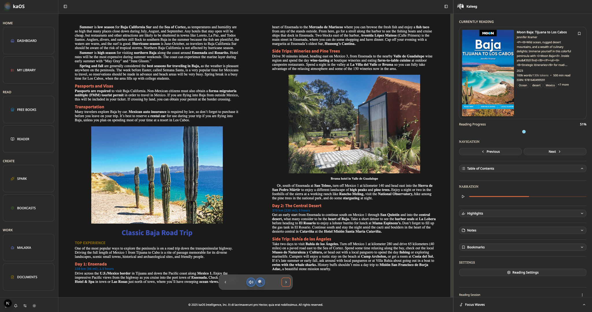 Universal reader for any format